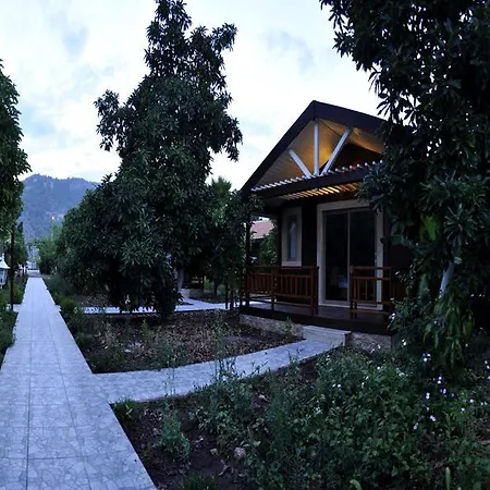 Hotel Apella Hotel Cirali